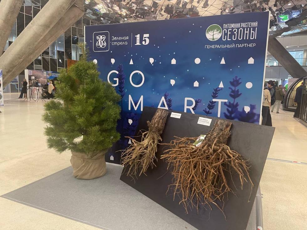 GO SMART: Форум ландшафтного искусства «Зеленая стрела 2024» в Сколково GO SMART: Форум ландшафтного искусства «Зеленая стрела 2024» в Сколково