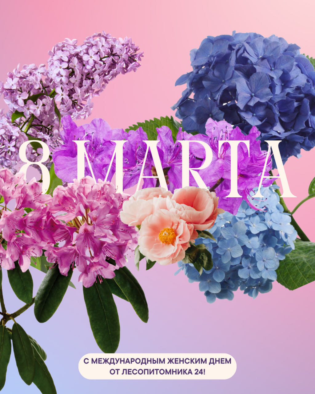 С 8 Марта! Пусть в душе всегда цветёт прекрасный сад! С 8 Марта! Пусть в душе всегда цветёт прекрасный сад!