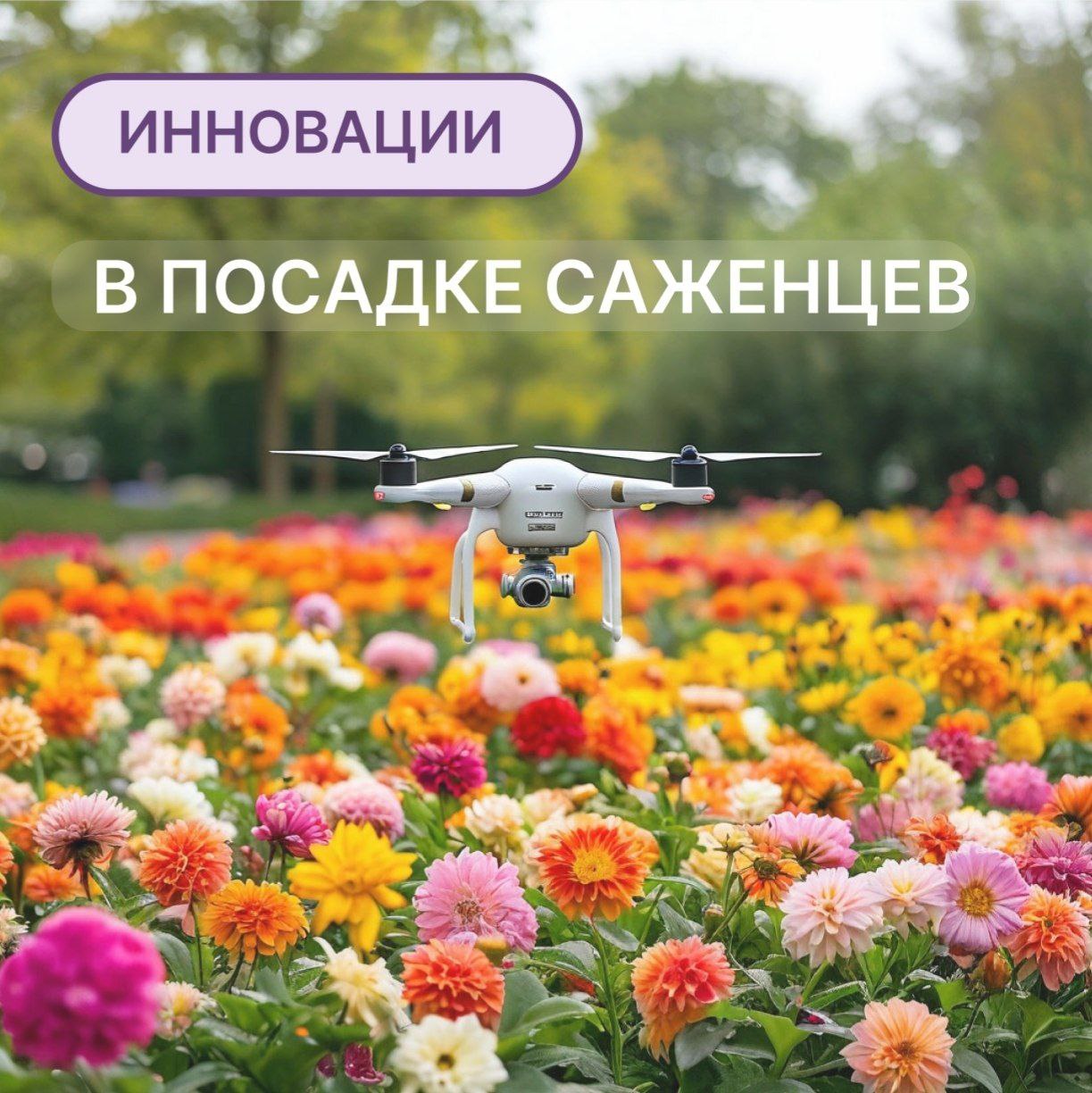 Инновации в посадке саженцев: Как технологии помогают садоводам Инновации в посадке саженцев: Как технологии помогают садоводам